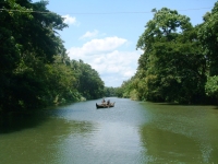 The Backwaters of Kerala photo