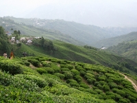 Darjeeling photo