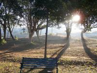 Lal Bagh photo