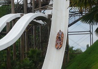 Caribe Bay photo