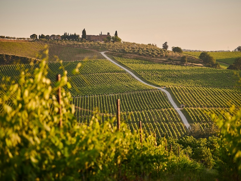 Chianti Region photo