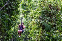 Rain Forest Adventures photo