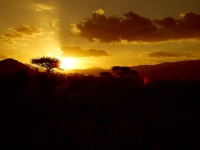 Tsavo National Park photo