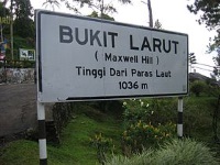Bukit Larut photo