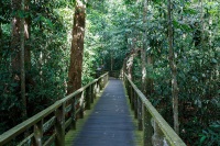 Sepilok Forest Reserve and Orangutan Sanctuary photo