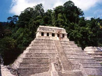 Palenque photo