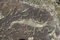 Petroglyphs in Mongolia