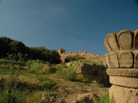 The Citadel of Chellah photo