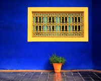 Majorelle Garden photo