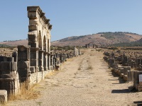 Volubilis photo