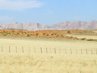 The Namib Desert photo