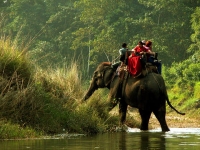 Royal Chitwan National Park photo