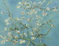 Van Gogh Museum photo