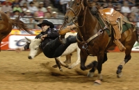 National Finals Rodeo photo