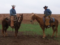 Grand Canyon Helicopter and Ranch Adventure photo