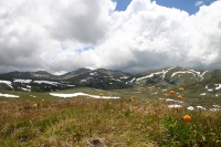 Snowy Mountains photo