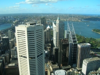 Sydney Tower photo