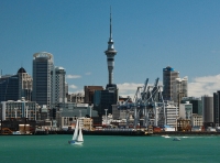 Auckland Sky Tower photo