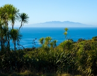 Tiritiri Matangi Island photo
