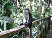 Lekki Conservation Centre photo