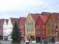 Bryggen photo