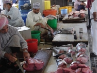 Muttrah Fish Market photo