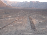 The Nazca Lines photo