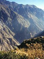 The Colca Canyon photo