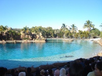 Sea World photo