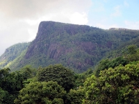 Morne Seychellois National Park photo