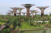 Gardens by the Bay photo