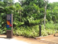 Jurong Birdpark photo