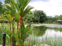 Singapore Botanic Gardens photo