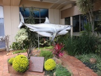 KwaZulu-Natal Sharks Board photo