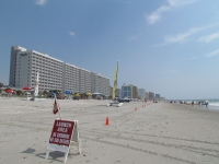 Grand Strand and Myrtle Beach photo