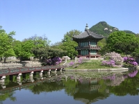 Gyeongbokgung photo