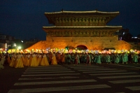 Lotus Lantern Festival photo