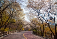 Namsan Park photo