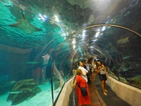 Barcelona Aquarium photo
