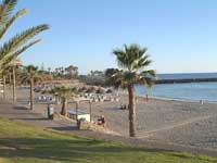 Tenerife_Playa_de_las_Americas.jpg photo