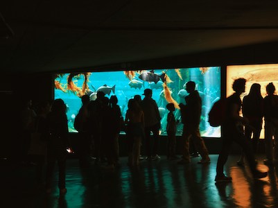 Barcelona Aquarium photo