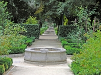 Royal Botanic Garden photo
