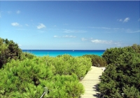 Formentera photo