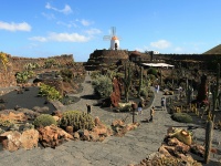 The Cactus Garden photo