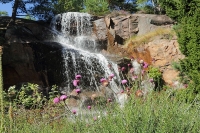 Goteborg Botanical Garden photo