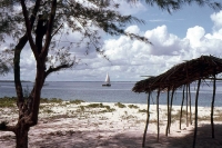 Bongoyo Island photo