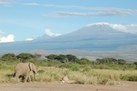 Mt Kilimanjaro National Park, Tanzania
