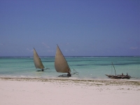 Zanzibar photo