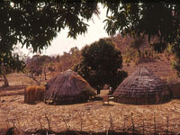 Makumbusho Village Museum photo