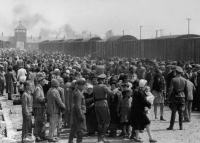 Dallas Holocaust Museum photo